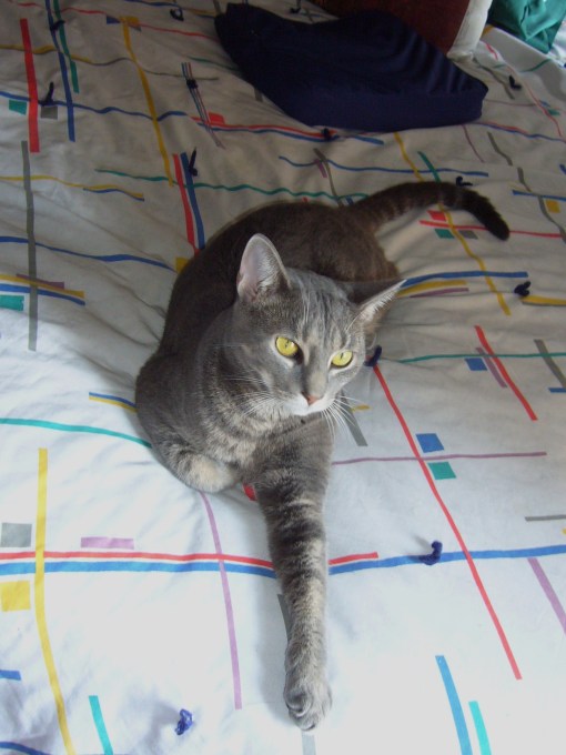 Everything here is mine