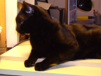 Finally, a profile shot.