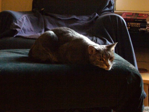 This does not look comfortable to me.