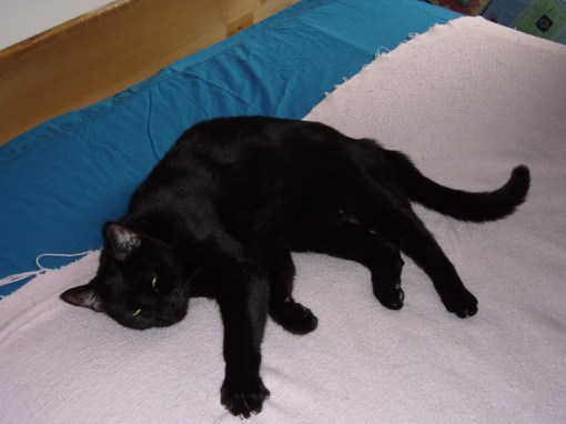 All appendages accounted for.