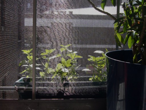 Okay, so I should have taken the picture before replacing the screen.